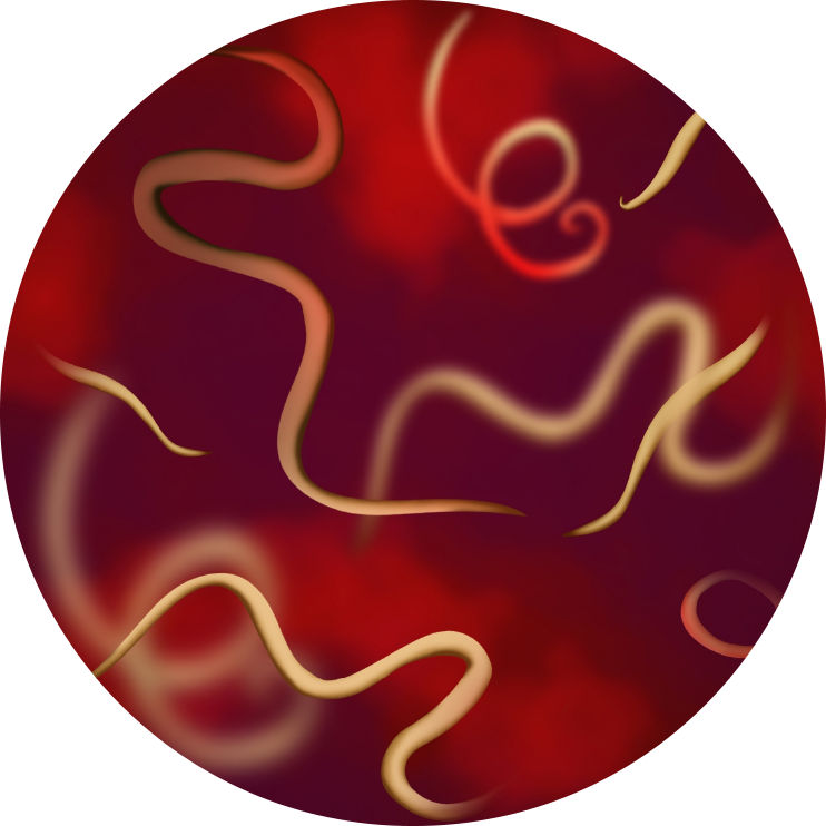 Parasite 2 pic3of4