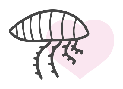 Parasite 3 icon